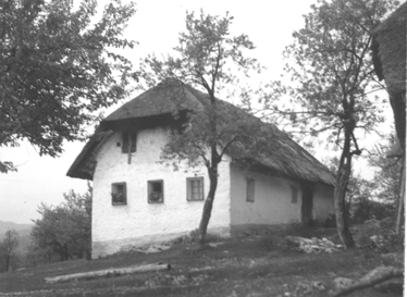 eika image